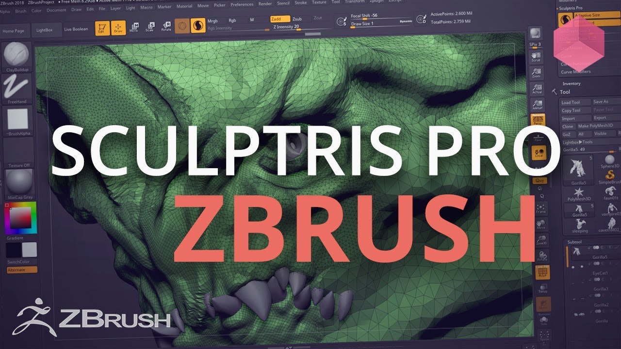 turn on sculptris in zbrush