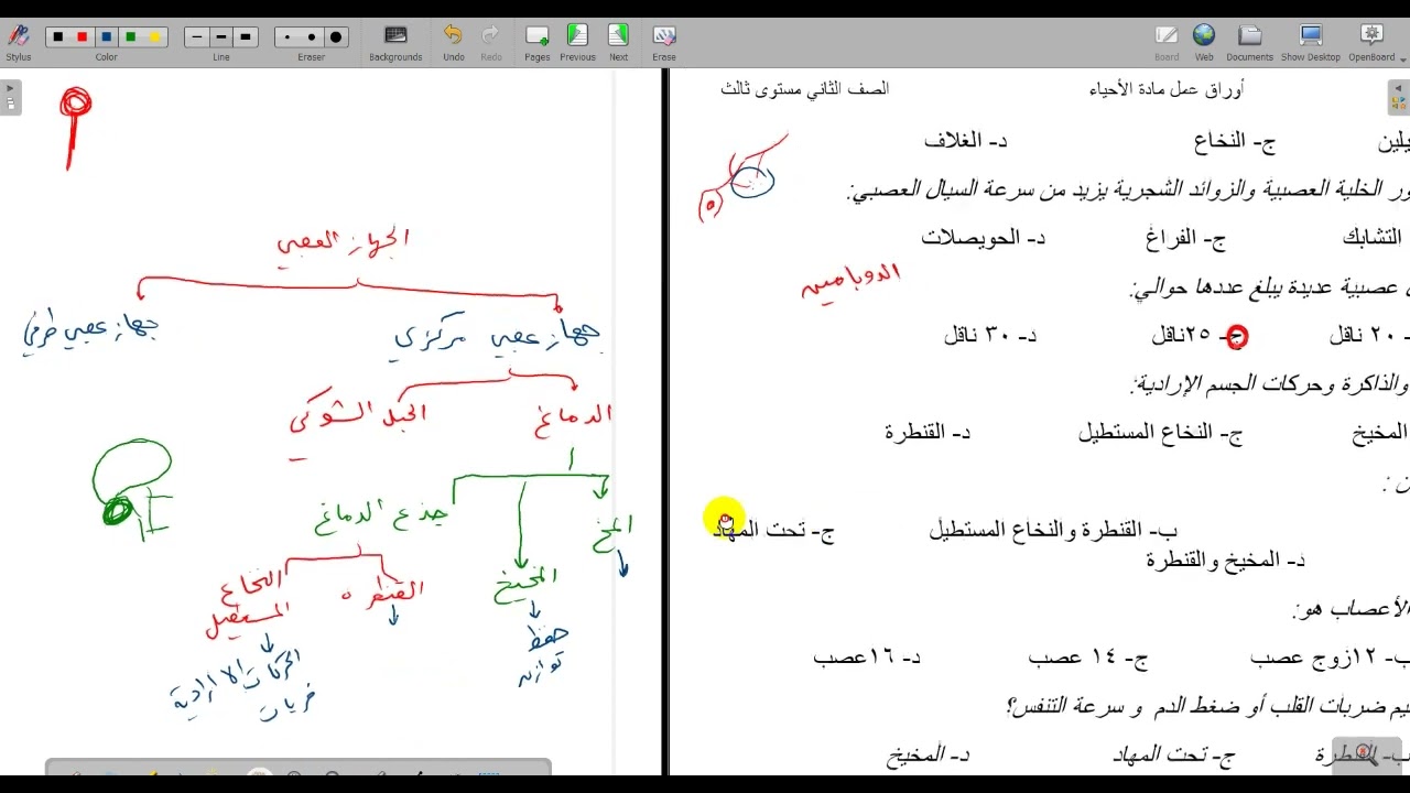 حل اسئلة الفصل الخامس الجهاز العصبي احياء 2 مقررات الصف الثاني الثانوي منهج سعودي