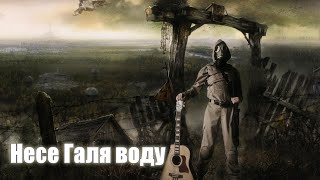 Guitar cover + TABS - Несе Галя воду (Nese Halya vodu) S.T.A.L.K.E.R. Call of Pripyat track 7 by Campfire Stalker 13,961 views 5 months ago 3 minutes, 28 seconds