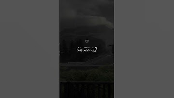 قال ربي إني دعوت قومي ليلًا ونهارًا | تلاوة تبكي القلوب