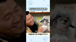 강형욱 훈련사한테 짖으면 생기는 일ㅋㅋ #shorts #강아지 #웃긴영상