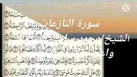 سورة النازعات الشيخ محمد سامي السروجي