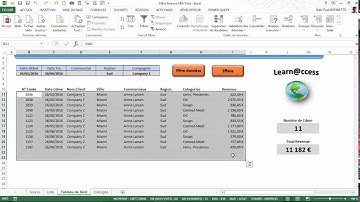 Excel VBA - Réaliser vos filtrages de données automatiquement