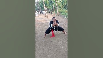 Jurus Kera Tengil Pendekar Ikspi #paskersakeramadura #ikspi #ikspimadura
