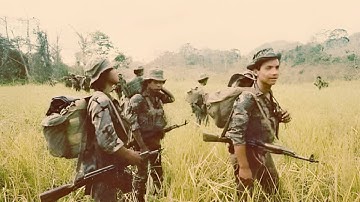 How U.S. Marines Turned the Jungles of Guadalcanal Into a Death Trap for Japan