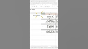 [Thủ thuật Excel] TỰ ĐỘNG CẬP NHẬT SỐ THỨ TỰ KHI THÊM HOẶC XÓA HÀNG TRONG EXCEL! #shorts