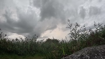 Clouds Passing Timelapse | Oostvaardersplassen Nature Reserve (GoPro 4K)