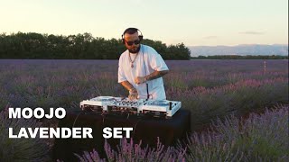 Moojo - Lavender Set