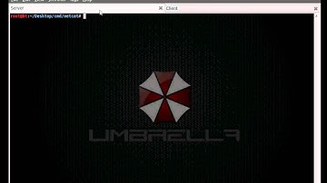 UFPTC - Unit 2-2 - Netcat Server Client Relationships