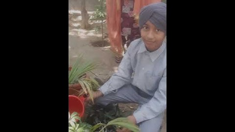 IGNOU DECE Project Activity Day 30 By Amandeep kaur