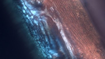 Liquid crystal polymer transformation