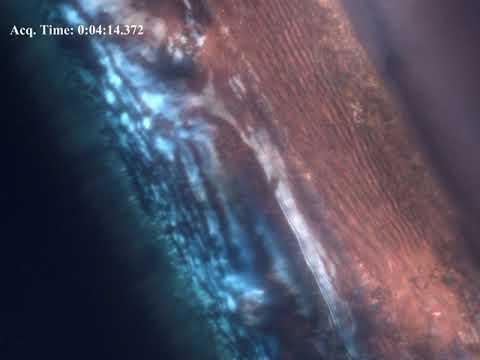 Printing flattens polymers, improving electrical and optical properties