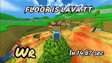 (wr + new start+ first ever sub 15) FL in tt speedrun in 14. 87