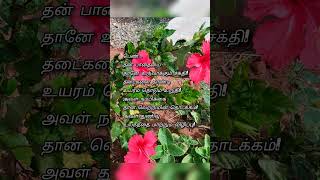 karthi stories world #story #kavithaikal #subscribe please