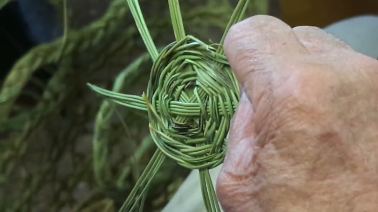Punto de peine o esparto en rama por Luis González (Albacete)
