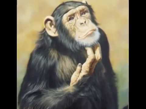 Why Be Moral?