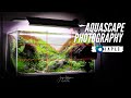 Watch this before taking your #IAPLC2021 Picture - The Aquascape Photography GUIDE