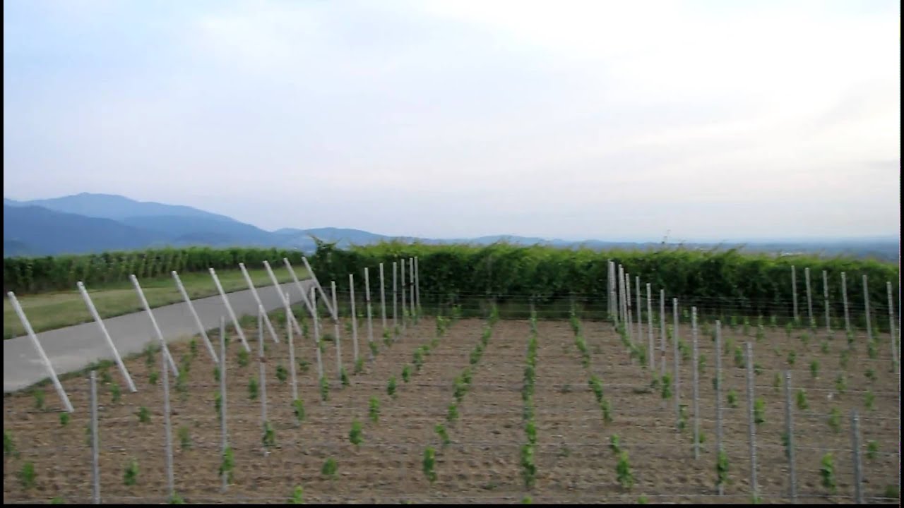 Sunset from Batzenberg, Pfaffenweiler