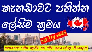 කැනඩාවට පනින්න ලේසිම ක්‍රමය | Canada Visa | Sinhala