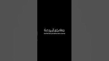 ﴿وجعلنا من بين أيديهم سدا ومن خلفهم سدا فأغشيناهم فهم لا يبصرون﴾سورة يس اسلام صبحيMuslim book