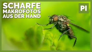 📷5 Tipps für scharfe Makrofotos aus der Hand | Insektenfotografie