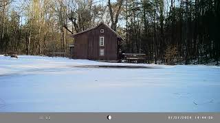 Snowy Days at the Cabin