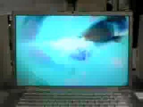 Assista a test of fmi:RGB no YouTube Assista a test of fmi:RGB no YouTube