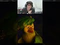 expulsando o mlk do morro! #shorts #react #viral #memes #clipes #reaction