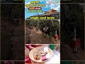 “மேகங்களுக்கு மேல் இருக்கும் முருகன் கோவில்!” | Kartik Swami Temple | Uttarakhand | IBC Bakthi