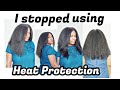 Straight Natural Hair Management - I Stopped Using Heat Protectants and it was a BIG Mistake