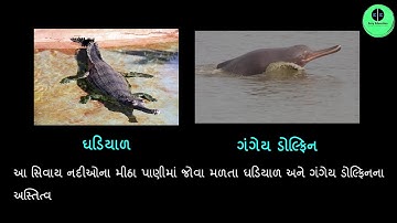 ધોરણ 10 | Social Science | Chapter 9 | વન અને વન્યજીવન સંસાધન | તત્વોનું આવર્તનીય વર્ગીકરણ | GSEB