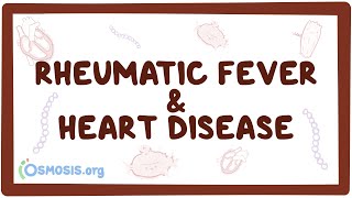 Rheumatic fever & heart disease- an Osmosis Preview