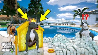 YAVRU PİTBULL ZENGİN OLUYOR VE ABİSİ ONU KISKANIYOR! - GTA 5