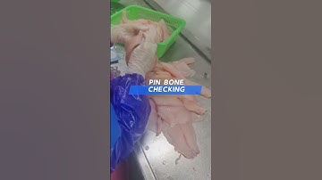 Tilapia Fillet Process #fishprocessing