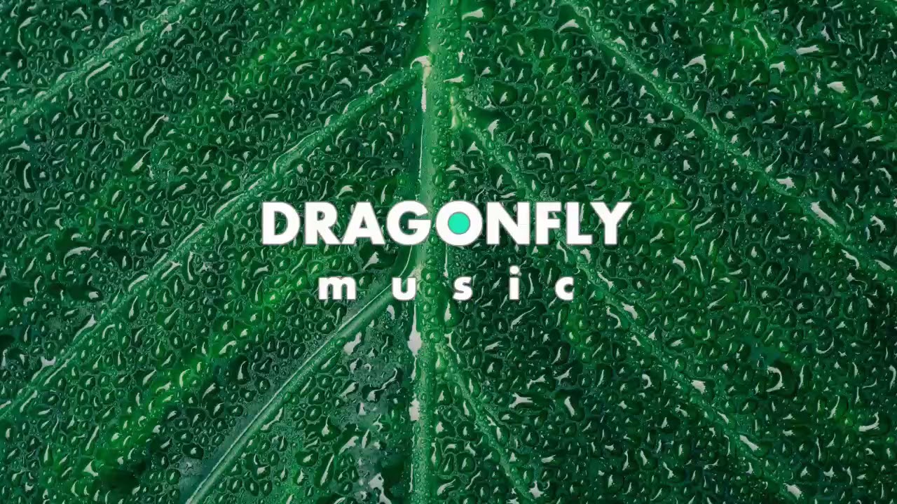 Backclash ft. Saachi - I Don't Wanna Fall in Love | 1 Hour Version