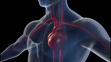 A new center for artificial muscles