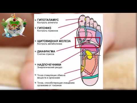 7 АКТИВНЫХ ТОЧЕК НА СТОПЕ ВЕРНУТ ВАС К ЖИЗНИ!