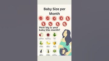 Baby Size Per Month #pregnancy #weekbyweekpregnancy #pregnancyweekbyweek