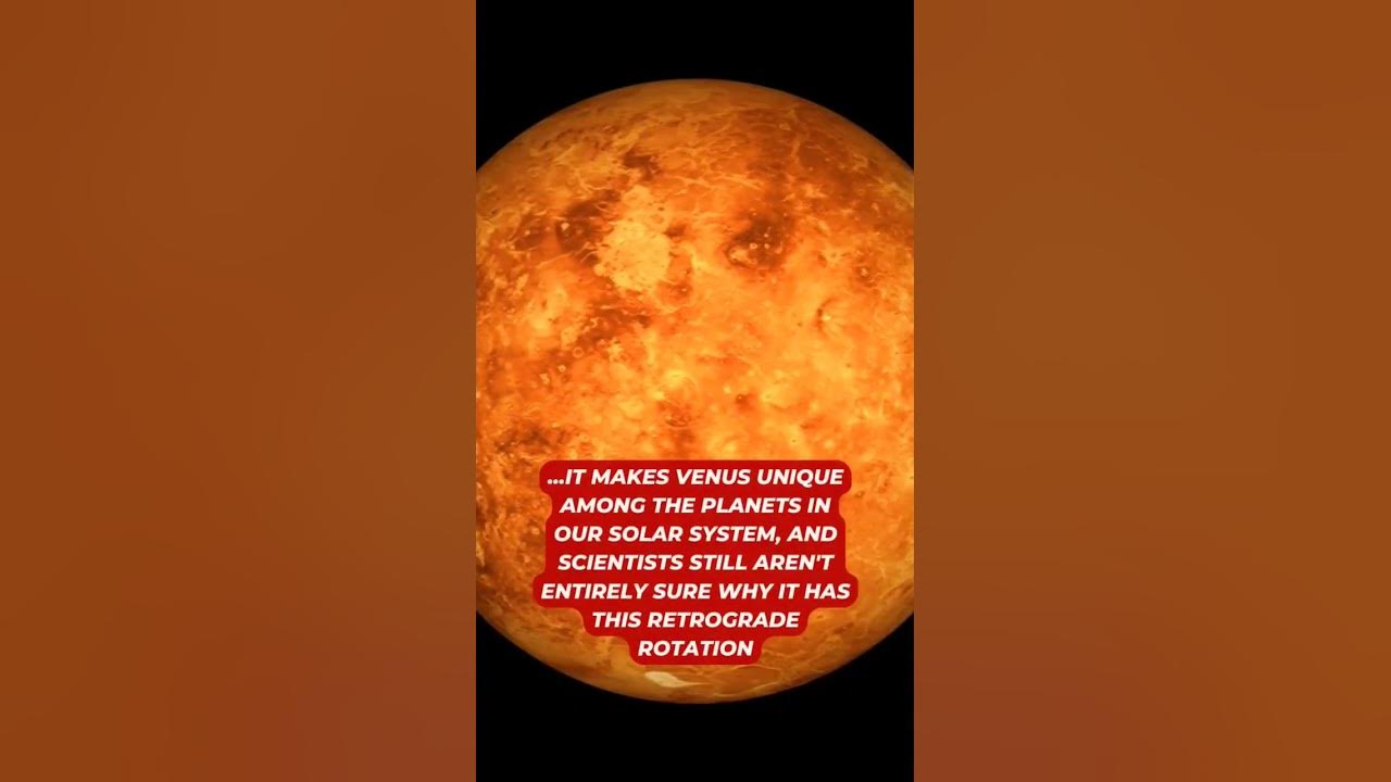 Venus Spins Backwards YouTube