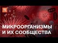 Микроорганизмы и их сообщества — курс Елизаветы Бонч-Осмоловской