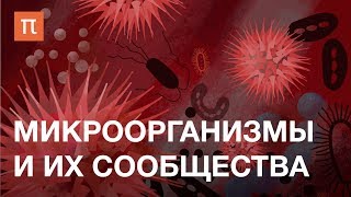 Микроорганизмы и их сообщества — курс Елизаветы Бонч-Осмоловской