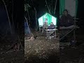 Terdengar suara burung aneh dari hutan #campinghorror #ASMR #outdoors #bushcraft