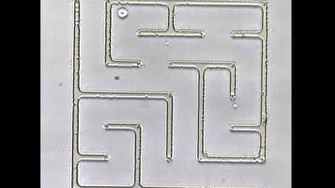 Navigating a microparticle through a maze with sound waves