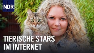 Haustiere als SocialMediaStars | Die Nordreportage | NDR Doku