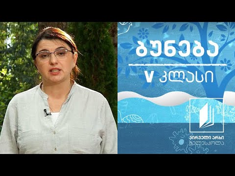 ბუნება, V კლასი - ეკოლოგიური ფაქტორები - სინათლე, სითბო, ტენიანობა #ტელესკოლა