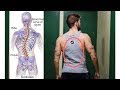 The Truth About Scoliosis and Fitness