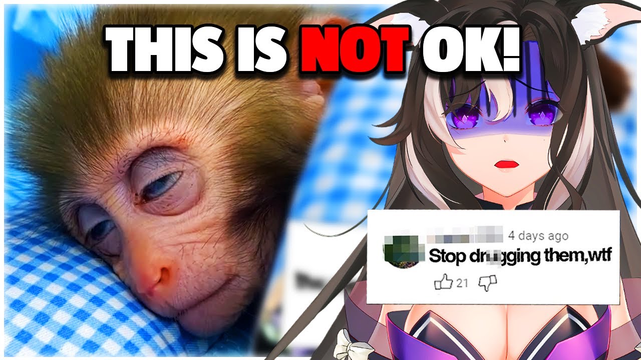 HOW CAN THEY BE DOING THIS TO ANIMALS?! || Rima Reacts to Soggy Cereal