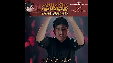 Bhai ka laasha |Mir Hassan Mir| new noha short video