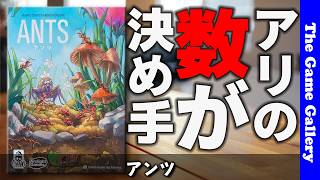 【アンツ】アリを育ててパワーに変える！陣取り×エンジン構築 / ボードゲーム レビュー