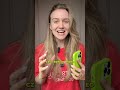 Ekspresowy tutorial na najgorętszą premierę tego miesiąca – apkę Edits!